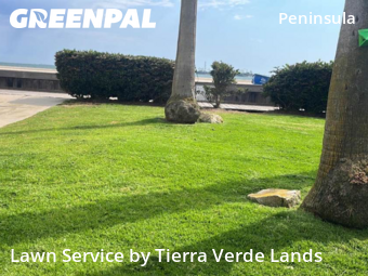 Work completed by yard-maintenance-professionals-in-Long Beach-CA