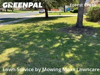 Yard Cutting nearby Round Rock, TX, 