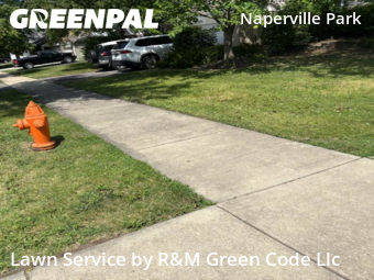 Grass Cut nearby Naperville, IL, 