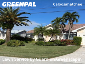 Lawn Service nearby Cape Coral, FL, 