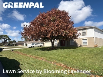 Grass Cutting nearby Port St. Lucie, FL, 