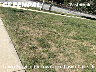 Grass Cutting nearby Olathe, MO, 