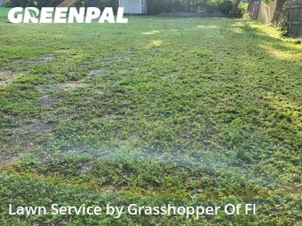 Lawn Cut nearby Brandon, FL, 