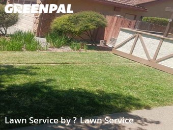 Yard Cutting nearby Fairfield, CA, 