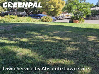 Work completed by local-lawn-care-services-in-Davis-CA
