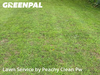 Lawn Maintenance nearby Hiram, GA, 
