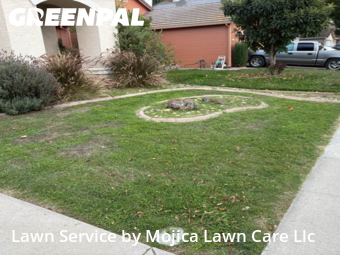 Commercial Landscaping In Elk Grove,95758,Landscapers by Mojica Lawn Care Llc, work completed in Nov , 2025