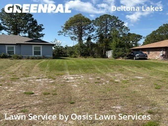Grass Cutting nearby Deltona, FL, 