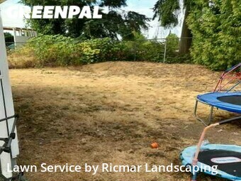 Grass Cut nearby Renton, WA, 
