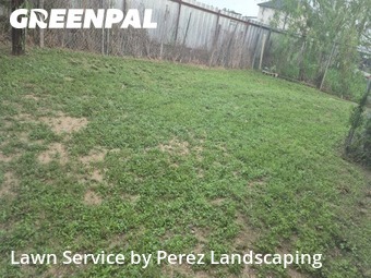 Lawn mowed in Edinburg, 78542