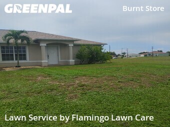 Yard Cutting nearby Cape Coral, FL, 
