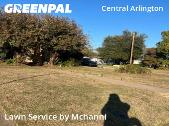 Landscaping Cleanup In Arlington,76012,Landscaping Renovation by Mchanni, work completed in Dec , 2025