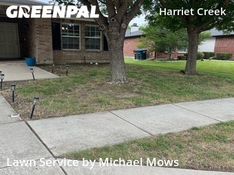 Grass Cut nearby Justin, TX, 