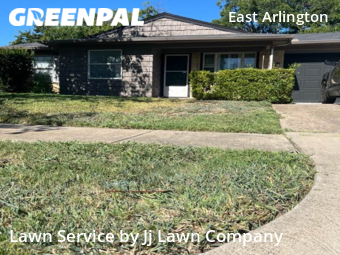Lawn Maintenance nearby Arlington, TX, 