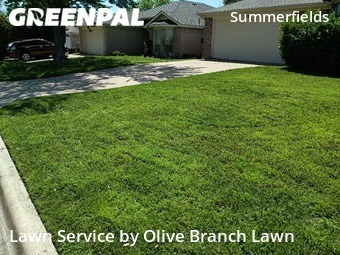 Lawn Cut nearby Fort Worth, TX, 