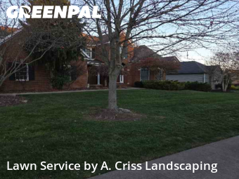 Yard Cutting nearby Canton, OH, 