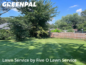 Grass Cutting nearby Jonesboro, AR, 