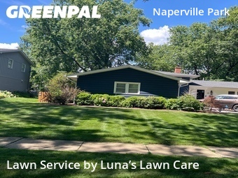 Grass Cut nearby Naperville, IL, 