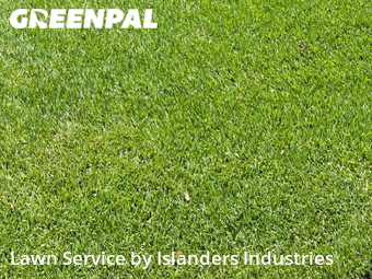 Lawn Care Service nearby Baton Rouge, LA, 