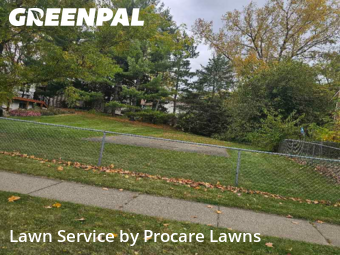 Work completed by lawn-care-experts-in-Apple Valley-CA