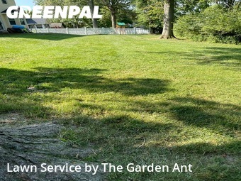 Yard Cutting nearby Chesterfield, MO, 