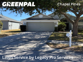 Yard Mowing nearby Wesley Chapel, FL, 