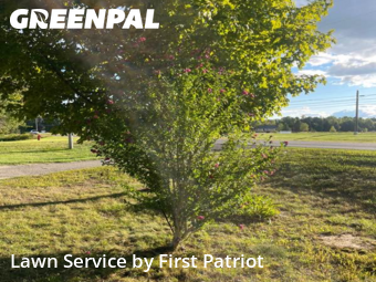 Lawn Maintenance nearby Bath Township, MI, 
