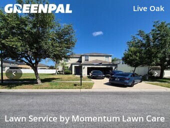 Grass Cutting nearby Tampa, FL, 
