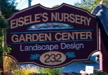 Best Nursery in Paterson New Jersey 3