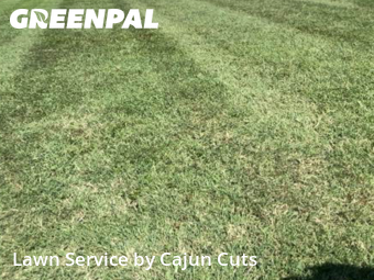 Yard Cutting nearby Murfreesboro, TN, 