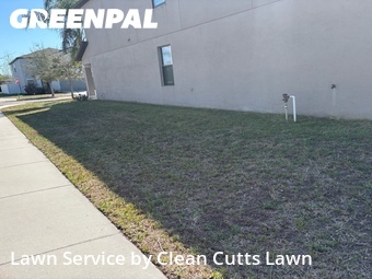 Lawn Maintenance nearby Wimauma, FL, 