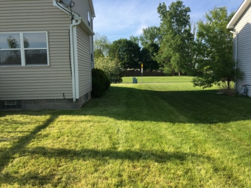 local-lawn-and-landscape-maintenance-services-near-me-in-Schenectady-NY
