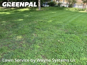 Grass Cut nearby Jefferson City, MO, 
