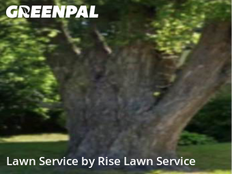 Lawn Maintenance nearby Davenport, IA, 