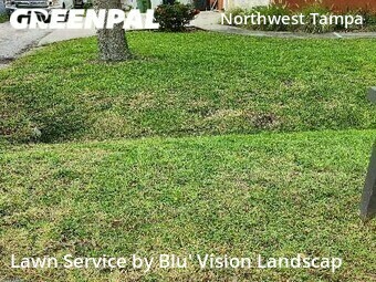 Lawn Service nearby Tampa, FL, 