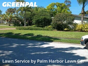 Grass Cut nearby Palm Harbor, FL, 