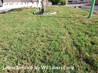 Lawn Care nearby New Braunfels, TX, 
