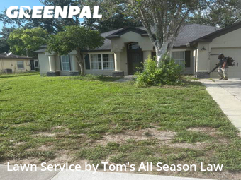 Lawn Mow nearby Spring Hill, FL, 