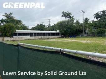 Lawn Mow nearby Hollywood, FL, 