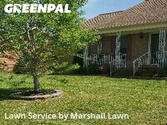 Yard Cutting nearby Chesapeake, VA, 