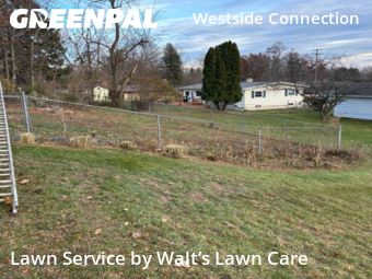 Yard Mowing in Grand Rapids, 49504, Lawn Mow by Walt’s Lawn Care, work completed in 21 Nov, 2025 