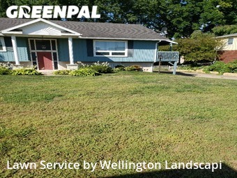 Lawn Cut nearby Erie, PA, 