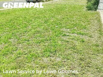 Grass Cut nearby Killeen, TX, 
