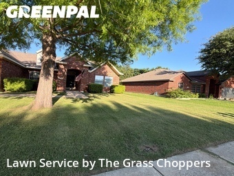 Lawn Cut nearby Denton, TX, 