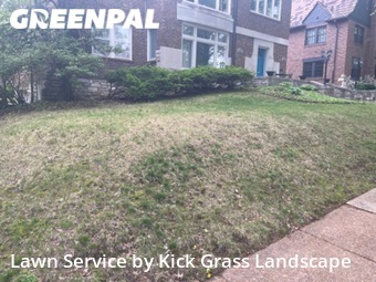 Lawn Cut nearby Clayton, MO, 