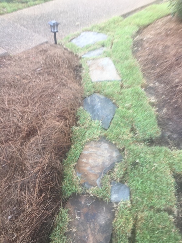 Eco Pro Lawn Service Lawn Care Services in Madison, MS