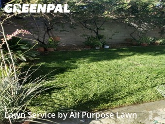 Lawn Mow nearby Las Vegas, NV, 