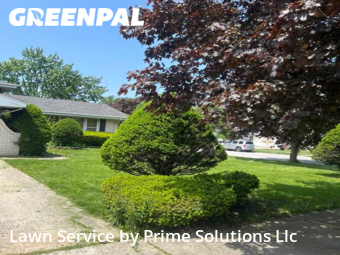 Lawn Cutting nearby Harvey, IL, 