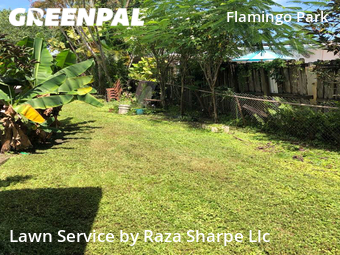 Lawn Mowing nearby Fort Lauderdale, FL, 