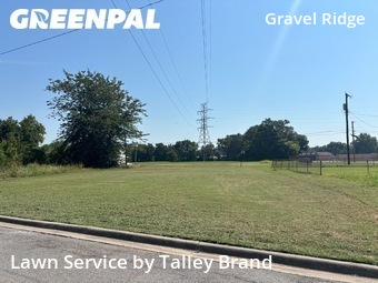 Lawn Mow nearby Jacksonville, AR, 